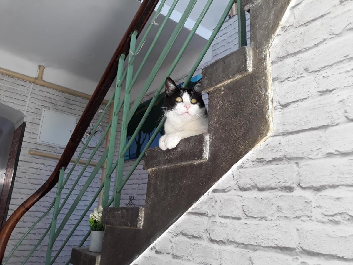 קרקוב Apartament Rozana Przy Ice מראה חיצוני תמונה