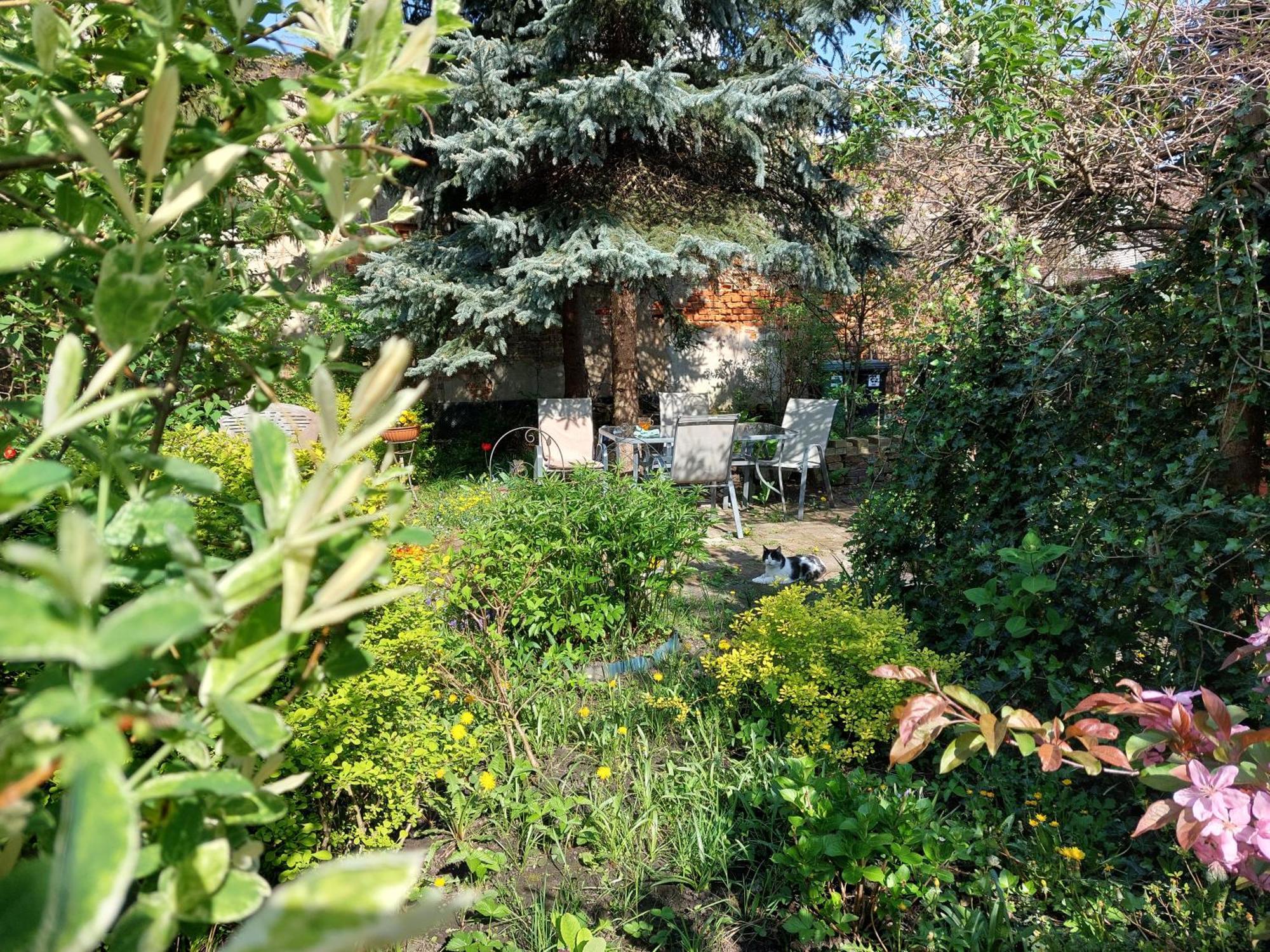 קרקוב Apartament Rozana Przy Ice מראה חיצוני תמונה