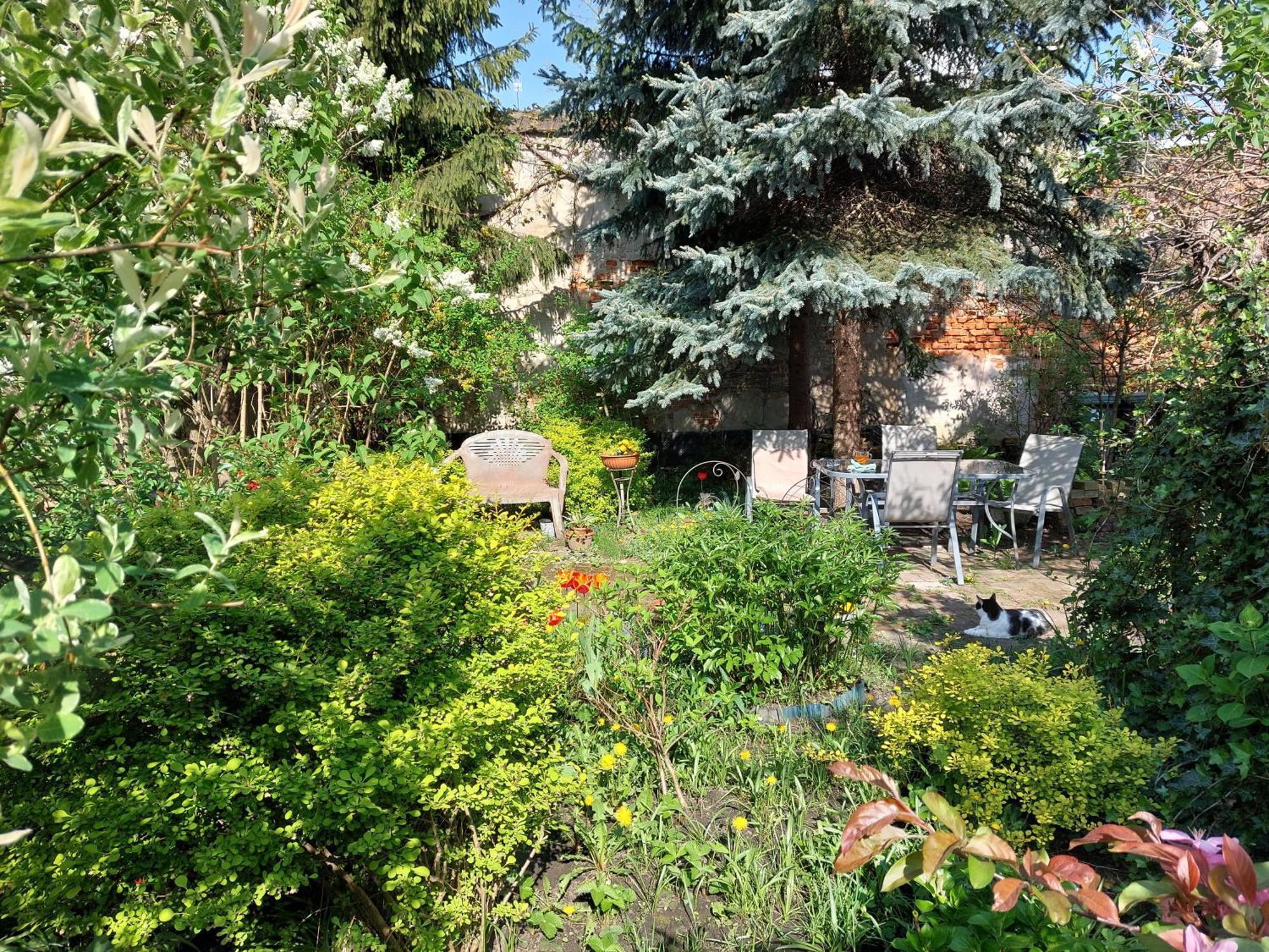 קרקוב Apartament Rozana Przy Ice מראה חיצוני תמונה